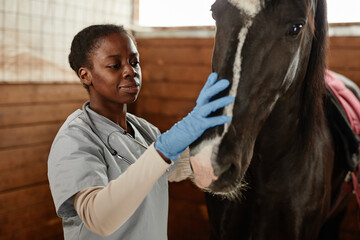 Warm toned portrait of female veterinarian taking care of horse in stables and smiling - obrazy, fototapety, plakaty