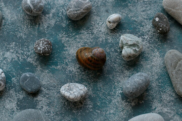 beach, sand, texture, stone, nature, water, sea, shell, abstract, rock, pattern, pebble, macro, white, backgrounds, blue, closeup, seashell, textured, summer, stones, surface, ocean, brown, shells