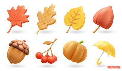 Autumn. Maple leaf, oak, poplar, physalis, acorn, rowan, pumpkin, umbrella. 3d vector icon set - 516234351