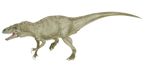 大型肉食恐竜　アエロステオンのオリジナル復元想像図。この恐竜は白亜紀後期のゴンドワナ大陸に生息した。かつてメガラプトルの持つ前肢の鉤爪がドロマエオサウルス類と誤認される後肢の鉤爪と誤認されていたのと同様、その前肢にスピノサウルス科の恐竜のような鉤爪を持っていた。推定体重2トン。9メートル位に及ぶ推定全長の大型にしては軽く、学名は軽量化された骨格の特徴から「空気の骨」という意味をもつ。