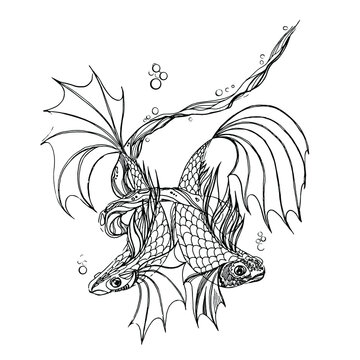 recommend clip art: Abstract fishes, line drawing for coloring. Detailed black and white image of two koi fish.