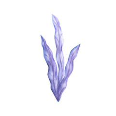 Watercolor illustration, sea river algae, blue purple