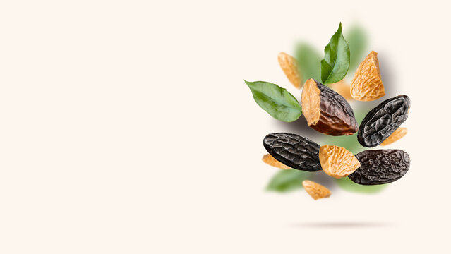 Tonka beans and green leaves float on a light beige background. Flying Dipteryx odorata for pastry, confectionery business, cooking, baking and aroma using. Modern fly healthy food, copy space