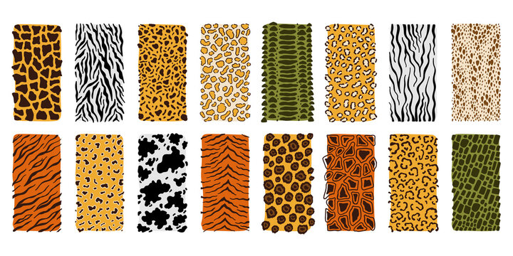 Safari animals skin seamless pattern set. Mammals Fur. Collection of exotic clothes printing or wallpaper texture vector set. Predators Camouflage. Printable Background. Vector illustration.