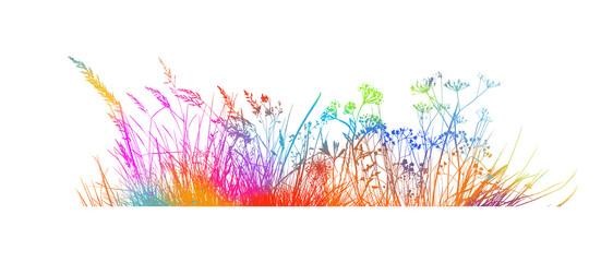Spring time colorful silhouettes of grass and flowers. Abstract floral vector background