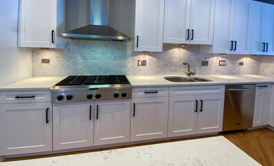 Modern interior kitchen design with white quartz countertops and shaker cabinets