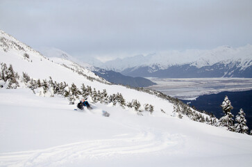 Fototapeta na wymiar Alaska snowmachine rider in the backcountry 