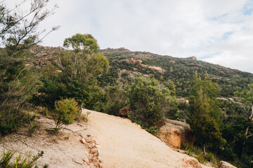 Fototapeta na wymiar in Freycinet National Park, tasmania, Australia