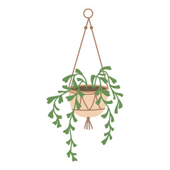 Plant in hanging pot. Houseplant hang on rope, decorative indoor plant, macrame flower pot, home potted plant vector illustration icon. Flower in pot on stand. Home jungle
