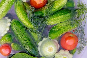 Fresh cucumbers, squash and tomatoes are washed for pickling.