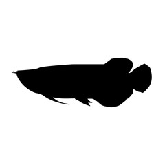 Fototapeta premium Arwana Fish Silhouette Vector