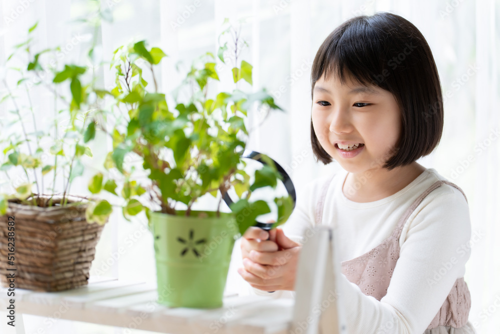 Canvas Prints 観葉植物を虫メガネで観察する女の子