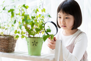 観葉植物を虫メガネで観察する女の子