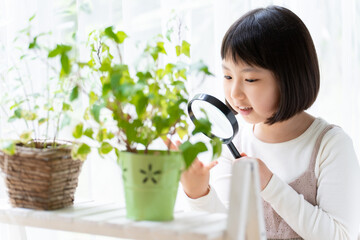 観葉植物を虫メガネで観察する女の子