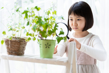 観葉植物を虫メガネで観察する女の子