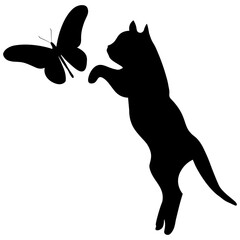 Cat and butterfly