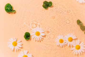 Water ripple with flowers. Trendy background for cosmetic product presentation. Artistic concept. Copy space 