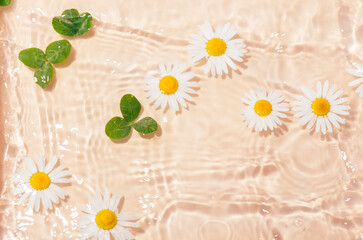 Water ripple with flowers. Trendy background for cosmetic product presentation. Artistic concept. Copy space 