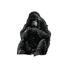 Orang utan hand drawing vector illustration isolated on background © tya studio