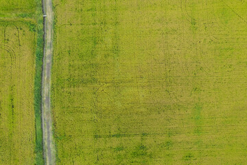 field background, top view landscape, nature