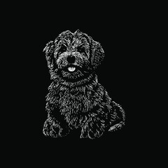 Havanese hand drawing vector illustration isolated on black background