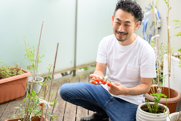 趣味、家庭菜園の男性　収穫編　俯瞰