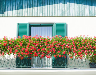 View with red balcony flowers, window and green shutters