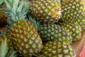 A pile of raw and ripe whole pineapples at a market. The whole tropical fruit has thick green waxy leaves and thick vibrant yellow and green suckers on the outside of the flesh of the produce. 