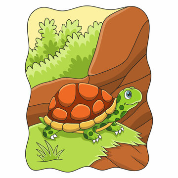 cartoon illustration a turtle walking on a cliff in the middle of the forest looking for food