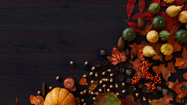 Thanksgiving frame with Gourds, Acorns, Falls leaves and Berries.