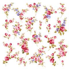 Beautiful rose illustration material collection,