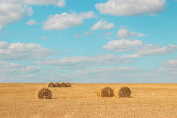 Beautiful landscape with bales of straw in sunny summer