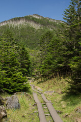 Fototapeta na wymiar 北八ヶ岳ロープウェイ山頂の坪庭自然園からみた縞枯山と遊歩道