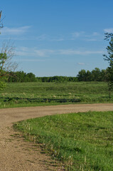 An Evening at Elk Island National Park