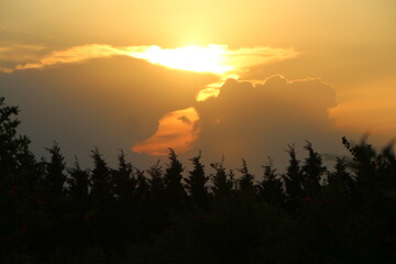 flowers and birds are natural lifes beatuy 