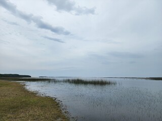 lagoa, fazenda, água, açude, rio