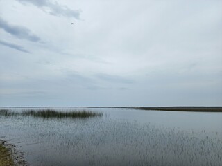 lagoa, fazenda, água, açude, rio