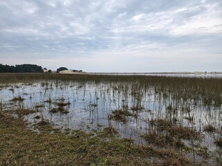 lagoa, açude, fazenda, água