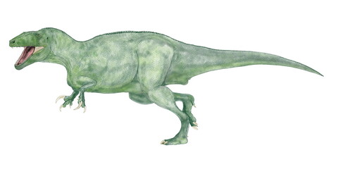 マイプ　マクロソラックス　南米アルゼンチンの白亜紀後期の地層から部分骨格が発見された。推定全長は9から10メートル体幅は2メートルと広く、南米での当時の食物連鎖の頂点にいた肉食恐竜であると推定されている。明確ではないが、メガラプトル類メガラプトル科に属するとされている。この科の他の肉食性の恐竜と同様にやや細面であるが薄く鋭い歯を持っていた。『マイプ』はパタゴニア地方の悪霊の名である。 - obrazy, fototapety, plakaty