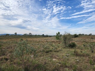 Obraz premium fazenda, campo para pecuária
