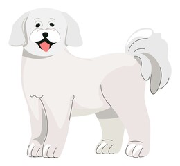 Poodle puppy, small dog canine animal pets vector
