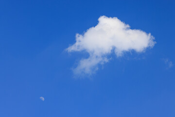 上弦の月と青い空に浮かぶ白い雲