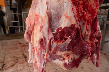 selective focus on fresh beef hanging that has been slaughtered as a result of the Eid al-Adha sacrifice, or will be sold in the market. soft focus