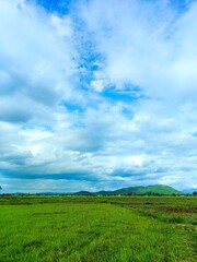 Fototapeta na wymiar Green rice field and blue sky beautiful nature landscape in Thailand