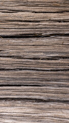 Old Wood Texture of Splitting Tree
