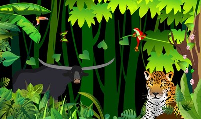 Colorfull Leopard lying, buffalo and jungle birds and plants, jungle background  vector illustration