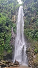 Tropical lush green waterfall in Costa Rica