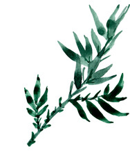 Bamboo Watercolor clipart botanikal. Ink Painting for Korean Chuseok.Watercolor flowers Bamboo.