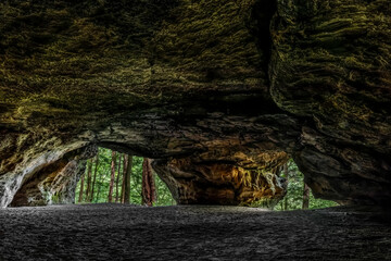 Looking out into the trees of the forest, the Saltpetre Caves, located in a nature preserve of the...