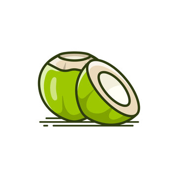 Fresh Green Water Coconut With Half Piece Of Green Coconut Vector Icon